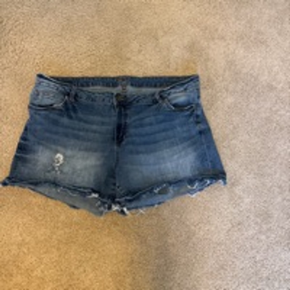 Women's Kut from the Kloth Denim Shorts Size 20W Blue


130